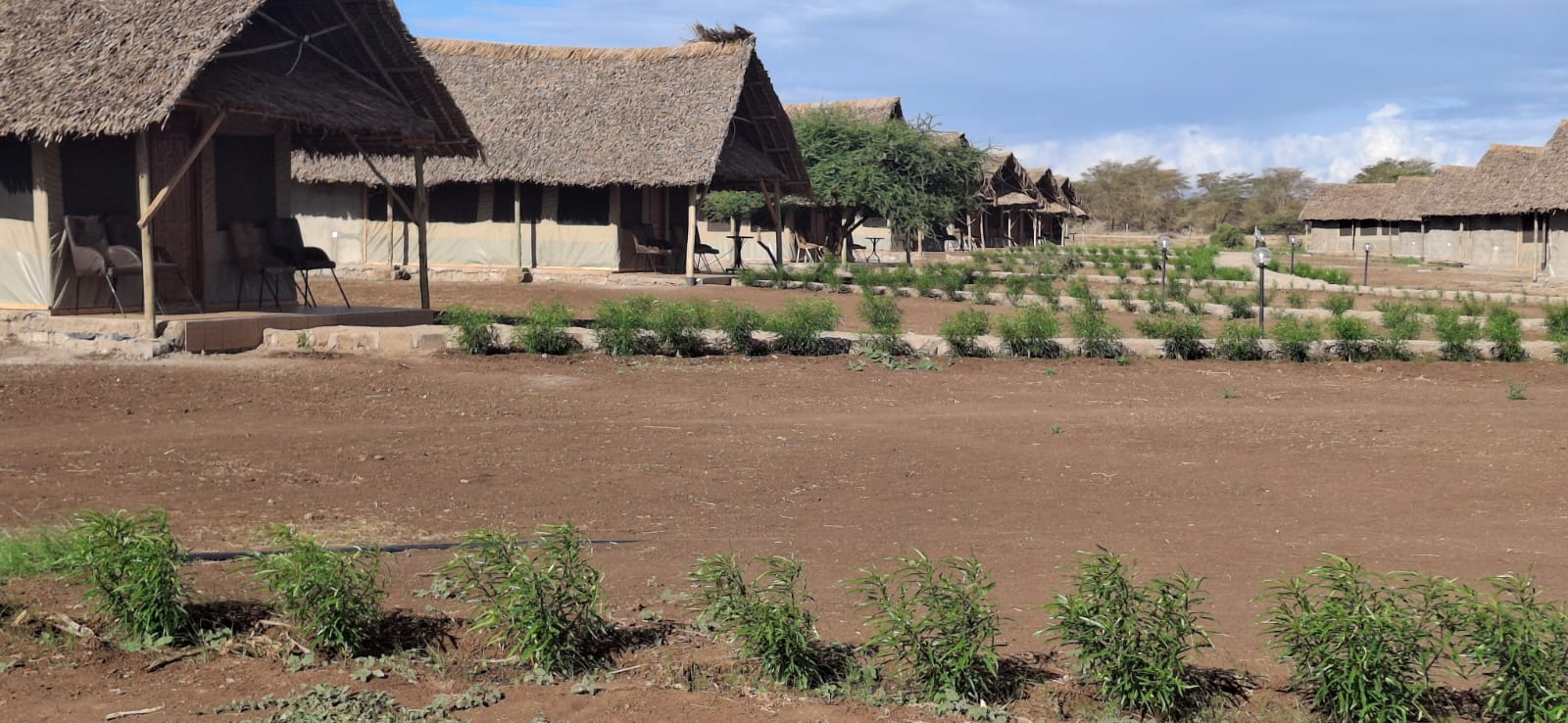 Osutua Rafiki Camp image 4